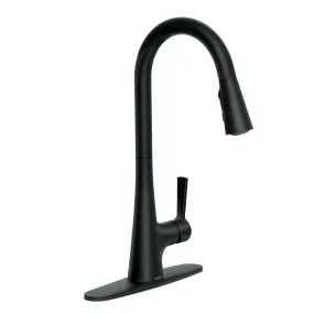 MOEN® Matte Black Kitchen Pulldown