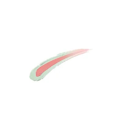 POLA Diem Couleur Glow Blush Stick