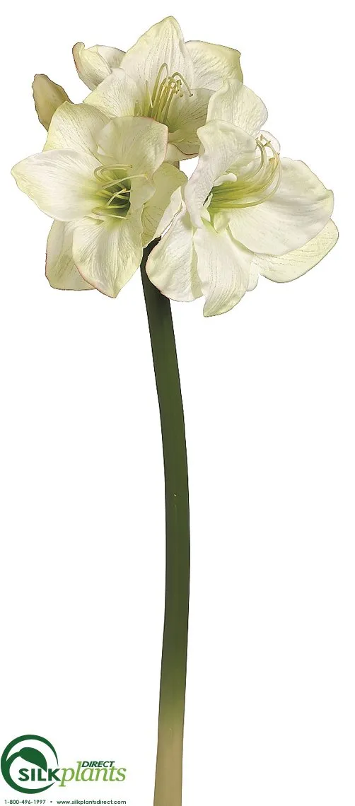 Silk Plants Direct Amaryllis Spray - Pink Blush - Pack of 6